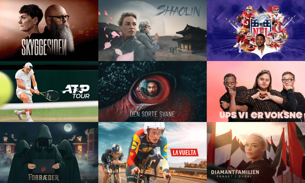 Executive Advisor til Indholdsområdet i TV 2